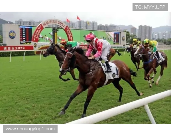 如何在HKJC香港赛马主页上进行高效投注与分析技巧